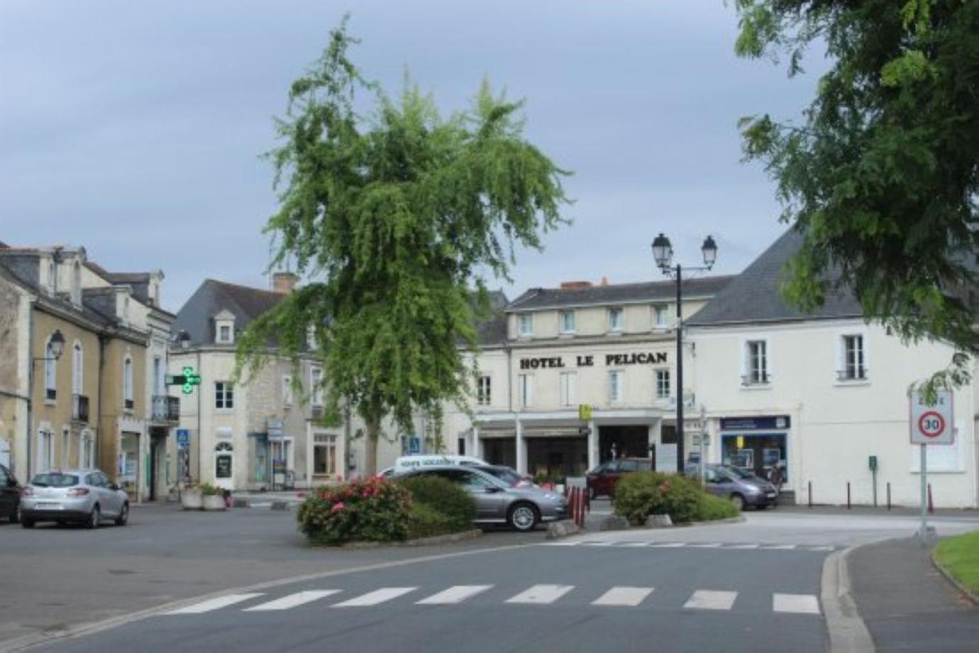 Logis Hotel Le Pelican Vernantes Extérieur photo