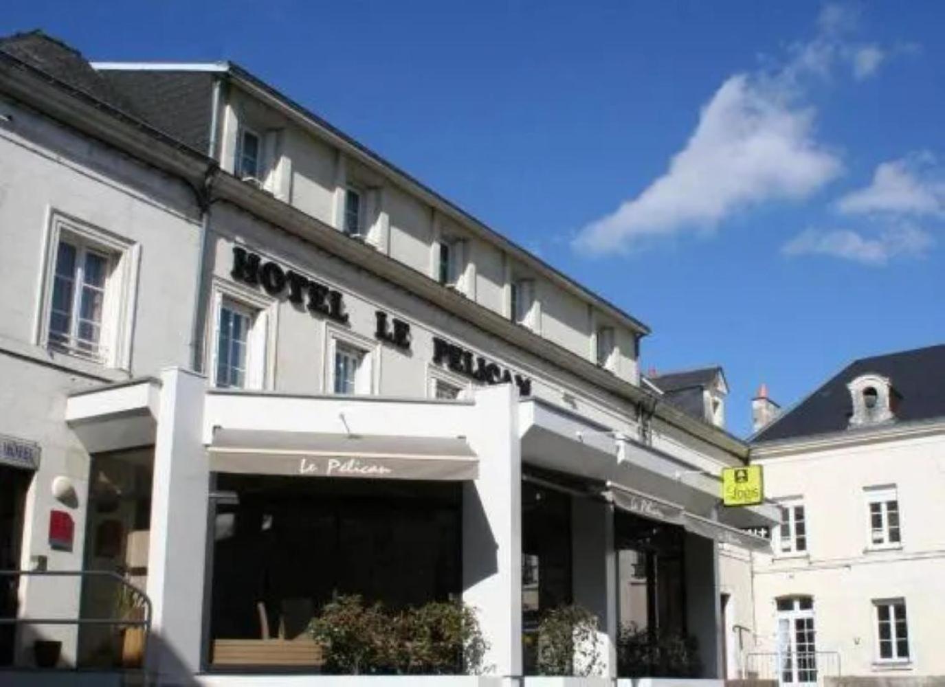 Logis Hotel Le Pelican Vernantes Extérieur photo